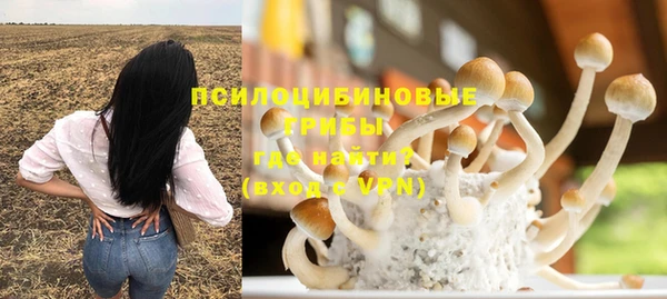 эйфоретик Гусев